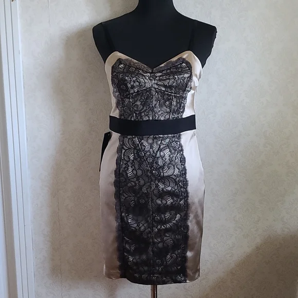 Bebe Dresses | Bebe Dress, Size M, Satin Look With Black Lace Overlay | Color: Black/Tan | Size: M | Vburr5419's Closet